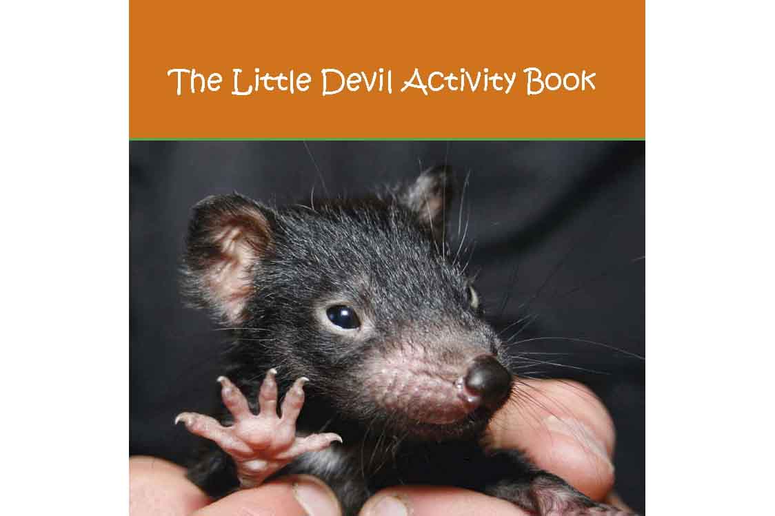 Little Devil Activity Book